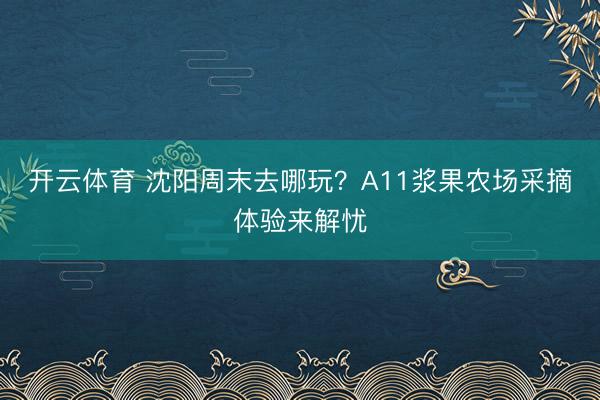 开云体育 沈阳周末去哪玩？A11浆果农场采摘体验来解忧