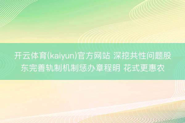 开云体育(kaiyun)官方网站 深挖共性问题股东完善轨制机制惩办章程明 花式更惠农