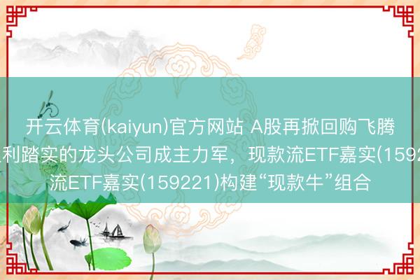 开云体育(kaiyun)官方网站 A股再掀回购飞腾，现款流充裕、恒久盈利踏实的龙头公司成主力军，现款流ETF嘉实(159221)构建“现款牛”组合