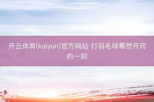 开云体育(kaiyun)官方网站 打羽毛球蓦然开窍的一刹