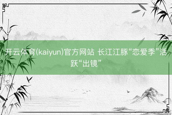 开云体育(kaiyun)官方网站 长江江豚“恋爱季”活跃“出镜”
