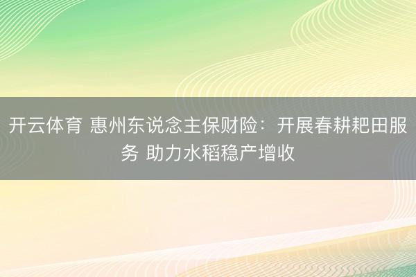 开云体育 惠州东说念主保财险：开展春耕耙田服务 助力水稻稳产增收